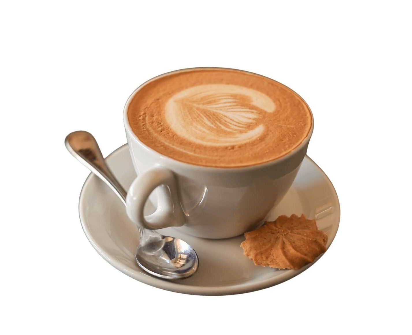 Cappuccino (s)